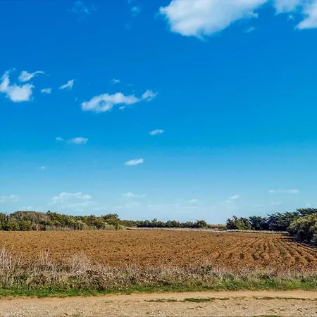 Pet Friendly In With Wifi *