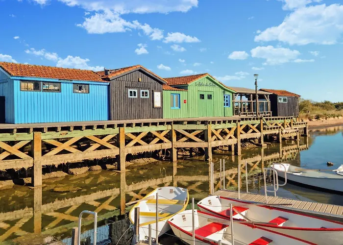 Pet Friendly In With Wifi