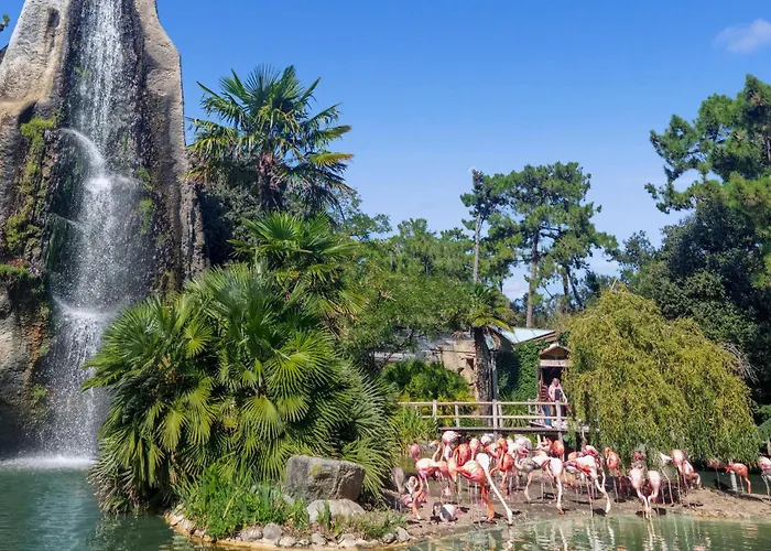 Pet Friendly In With Wifi