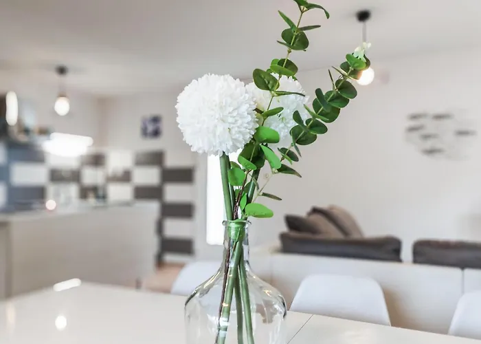 Pet Friendly In With Wifi Royan