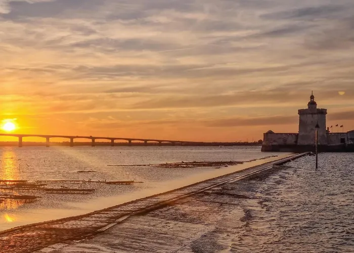 Feriehus Pet Friendly In With Wifi